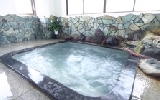 ikemoto_spa.jpg