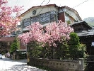 sakakiya.jpg