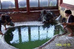 100_5827.JPG